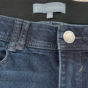 Barely Worn!! Wit and Wisdom size 16